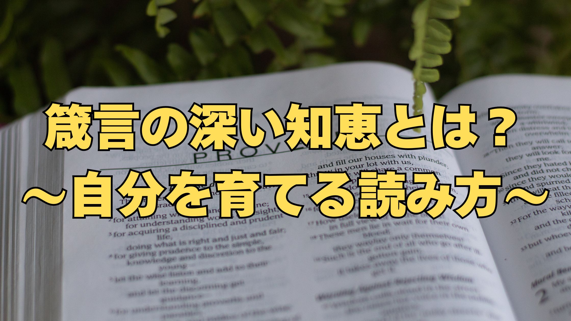 箴言の深い知恵とは？自分を育てる読み方